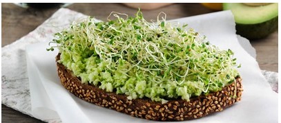 smörgås med avocado